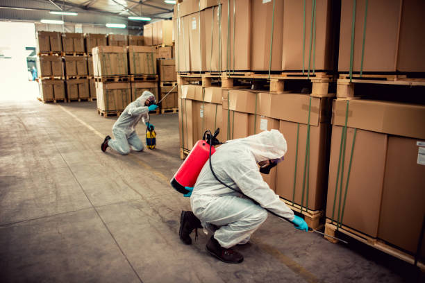 Best Pest Control for Restaurants  in Ecorse, MI
