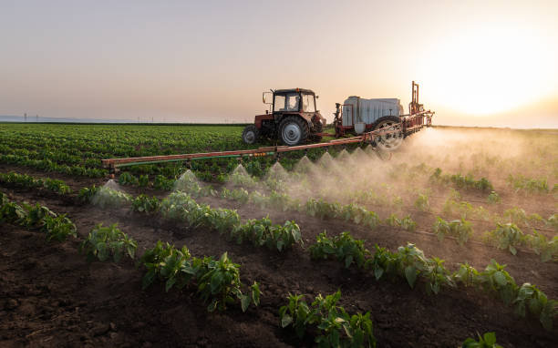 Best Pest Control for Homes  in Ecorse, MI