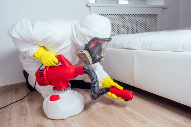 Best Mosquito Control Services  in Ecorse, MI