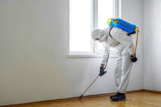 Best Affordable Pest Control Services  in Ecorse, MI