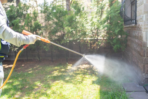 Best Ant Control Services  in Ecorse, MI