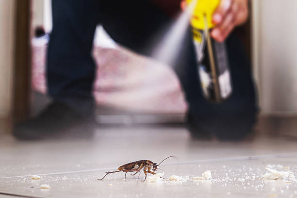 Pest Prevention Services in Ecorse, MI