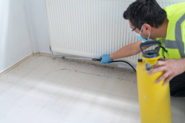 Best Pest Prevention Services  in Ecorse, MI